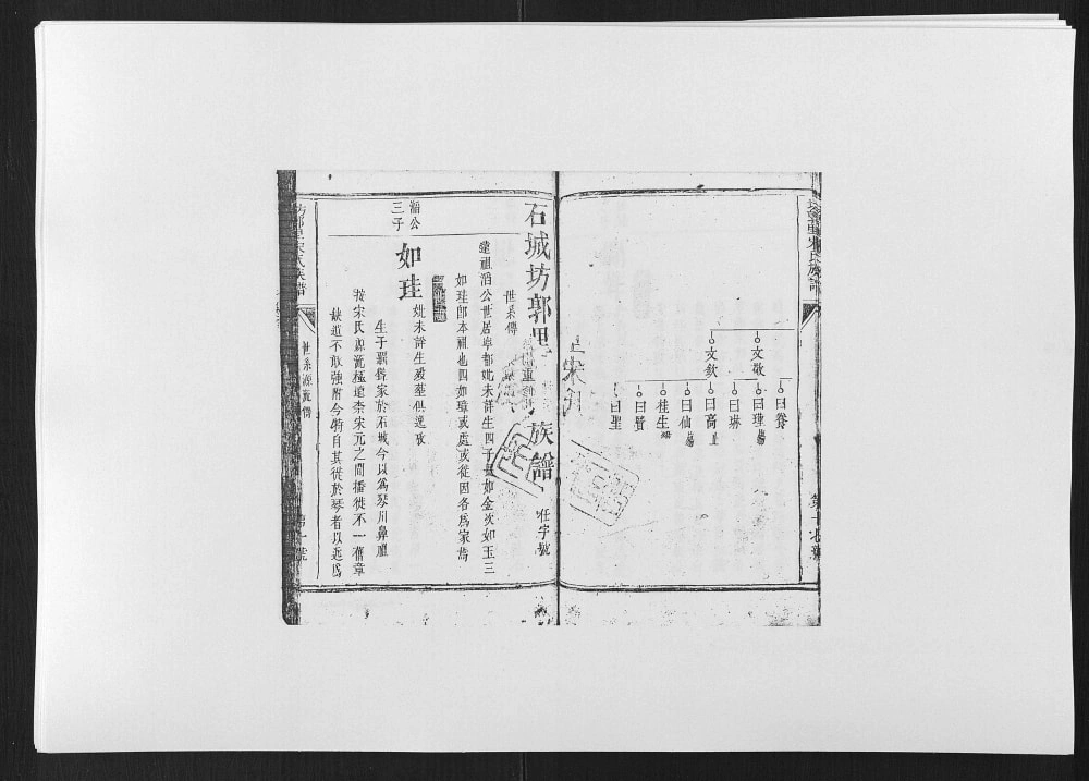 图片[5]-江西赣州石城县坊郭里宋氏族谱电子版PDF下载-中华家谱网