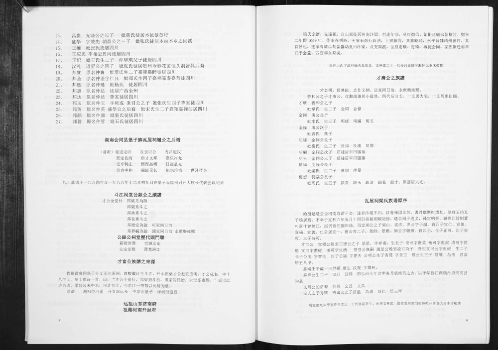 图片[3]-广西柳州三江县梁氏族谱（安定堂）电子版PDF下载-中华家谱网