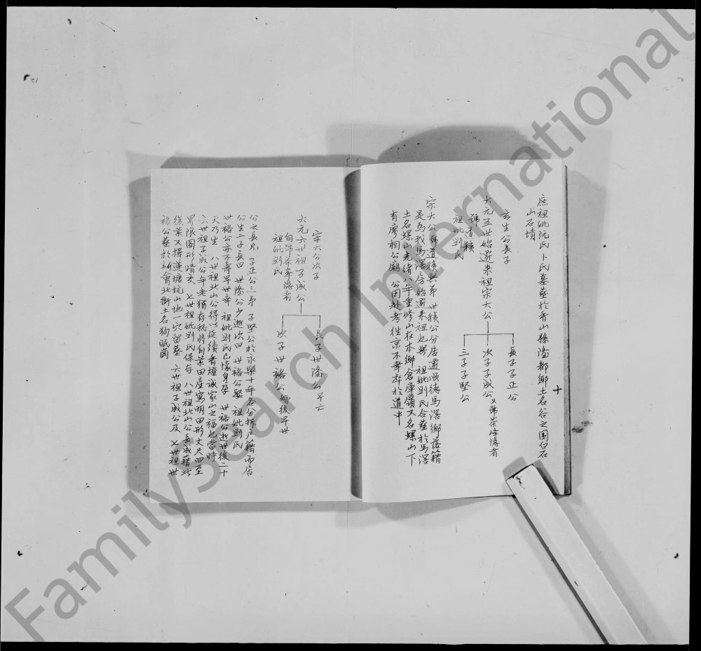 图片[8]-广东佛山顺德区高氏康川祖家谱电子版PDF下载-中华家谱网