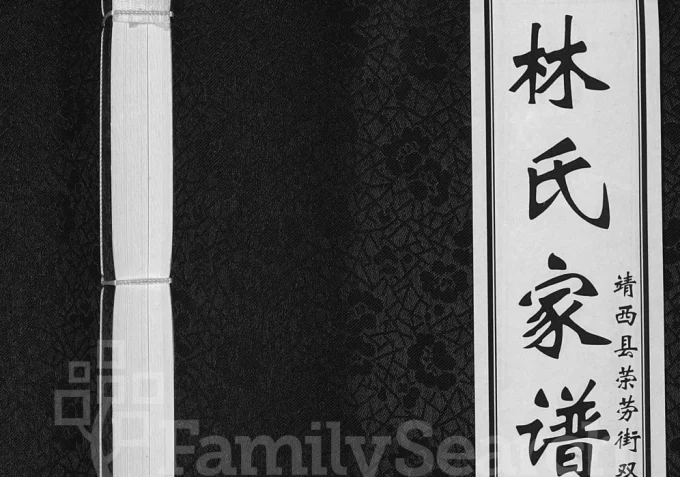 广西靖西荣劳街林氏家谱（双桂堂）-中华家谱网