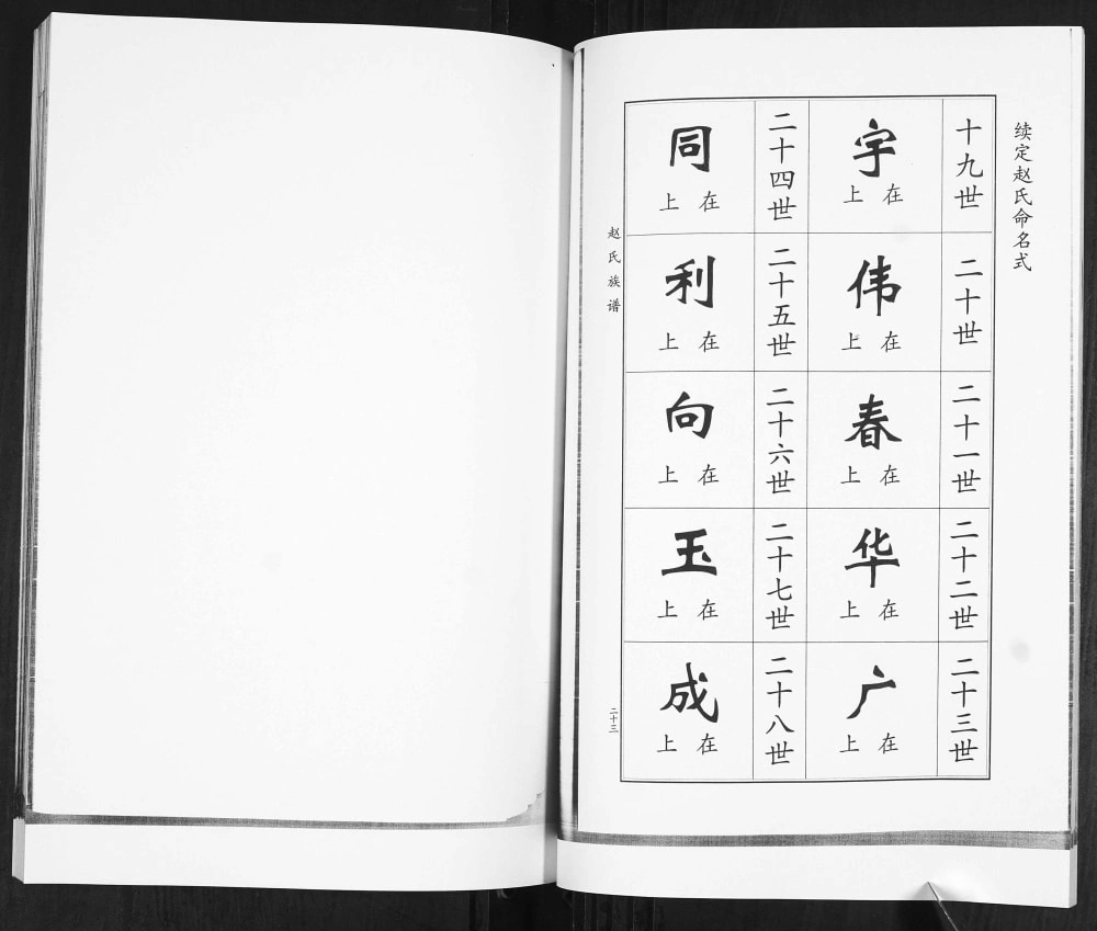 图片[5]-山东青岛即墨碓臼泊赵氏族谱电子版PDF下载-中华家谱网