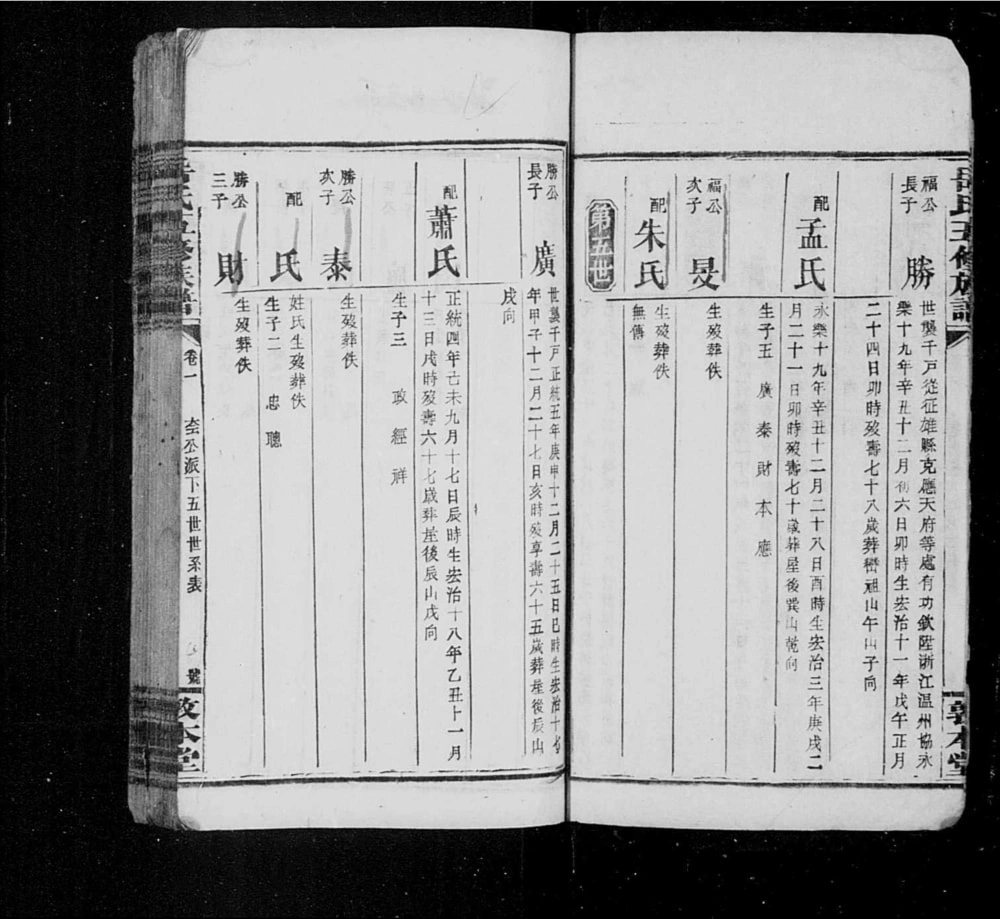 图片[8]-湖南邵阳岳氏五修族谱（敦本堂）电子版PDF下载-中华家谱网