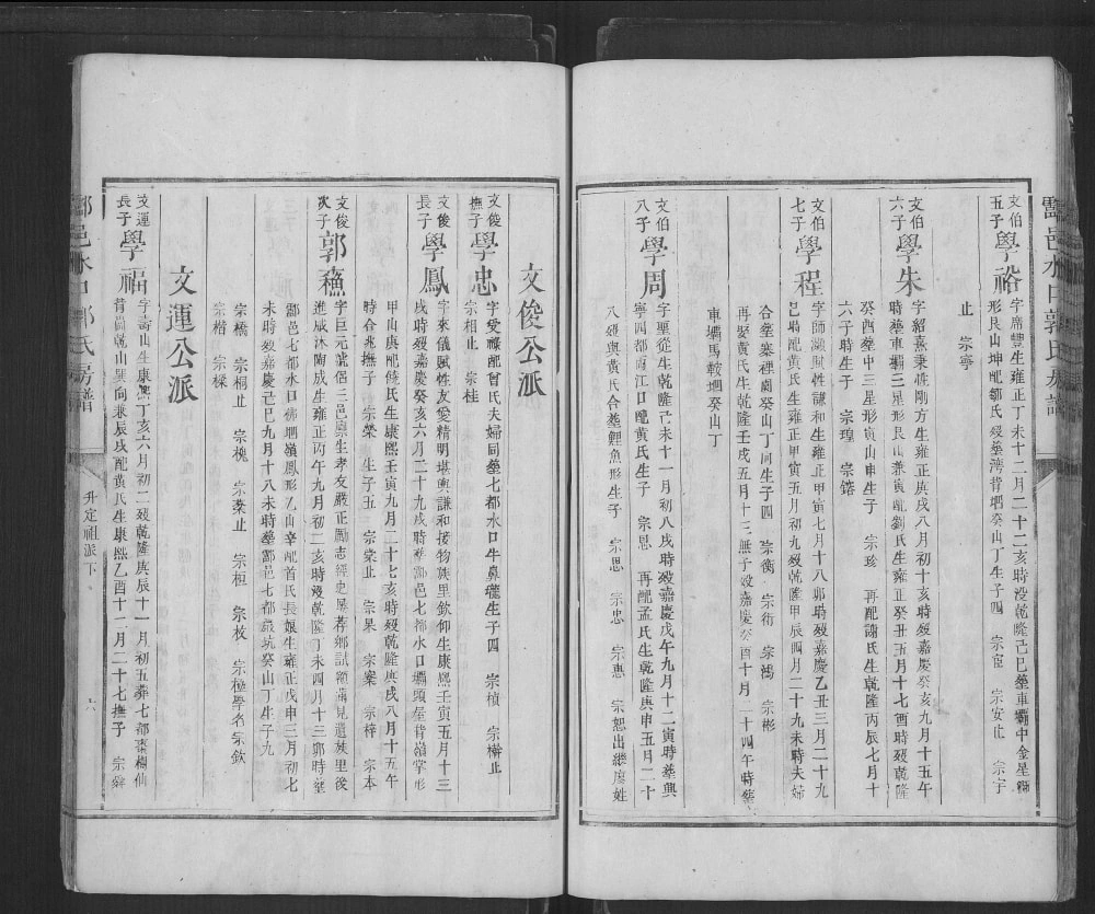 图片[8]-湖南株洲炎陵县酃邑水口郭氏房谱电子版PDF下载-中华家谱网