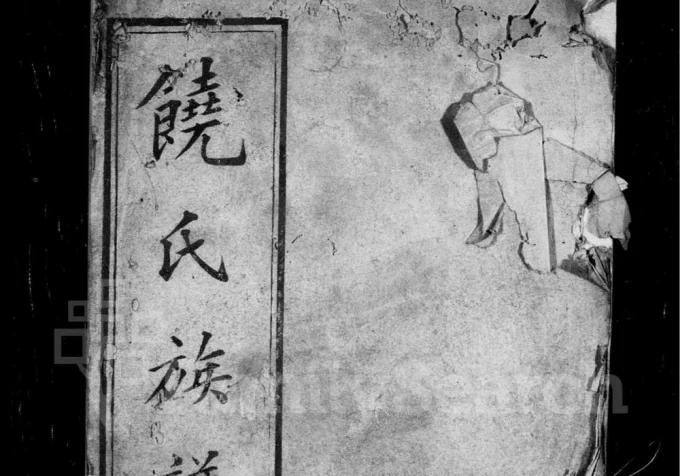 广东梅州大埔县茶阳饶氏族谱-中华家谱网