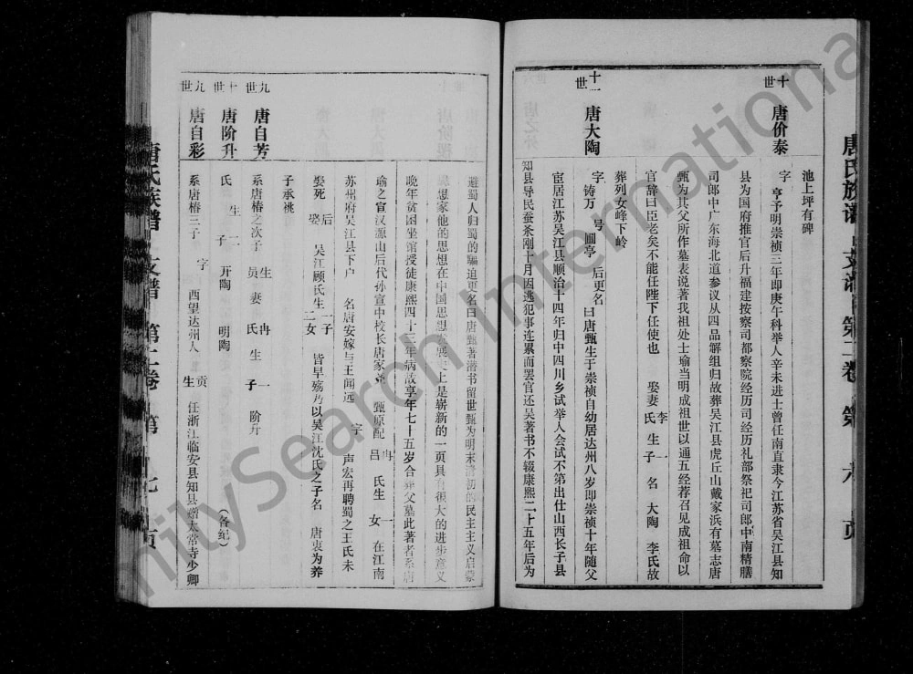 图片[8]-四川达州宣汉县唐氏族谱（儒籍堂）电子版PDF下载-中华家谱网