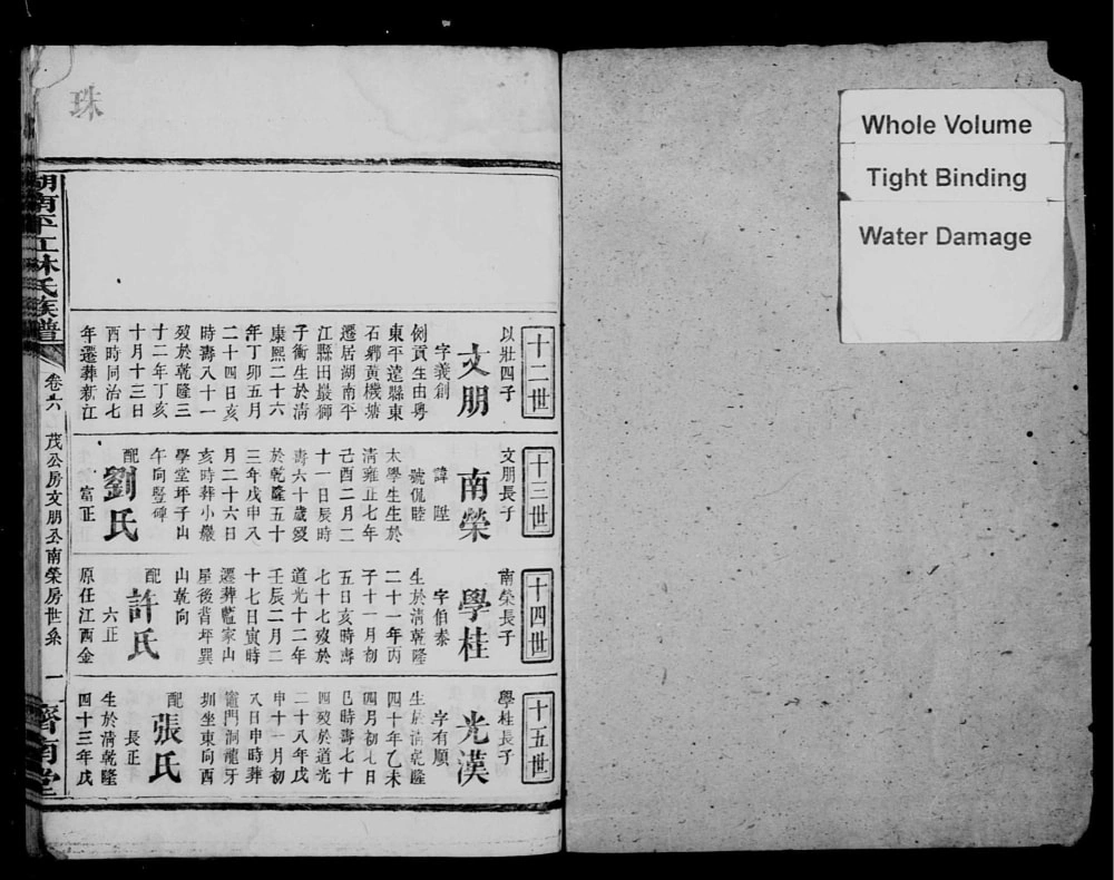 图片[2]-湖南岳阳平江林氏族谱（济南堂）电子版PDF下载-中华家谱网