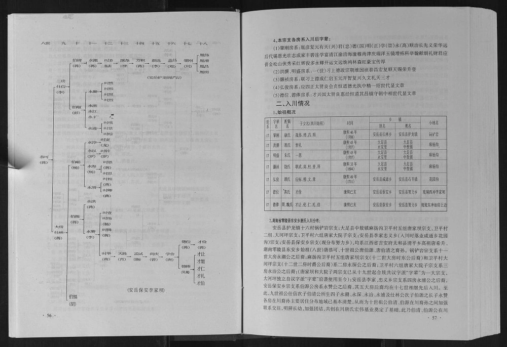 图片[8]-‌四川资阳安岳唐氏宗谱电子版PDF下载-中华家谱网