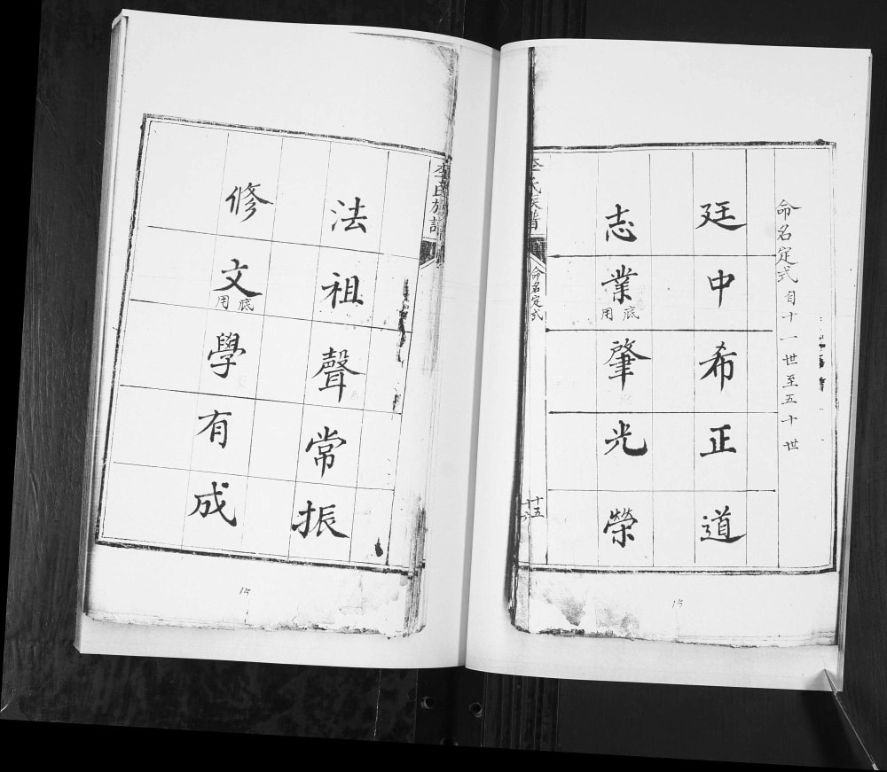 图片[4]-山东青岛即墨龙泉何家庄李氏族谱电子版PDF下载-中华家谱网