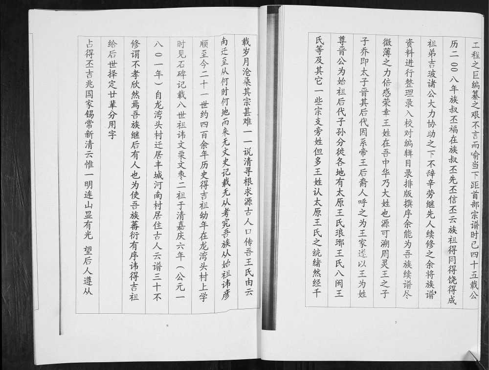 图片[3]-山东青岛即墨河南村王氏族谱电子版PDF下载-中华家谱网