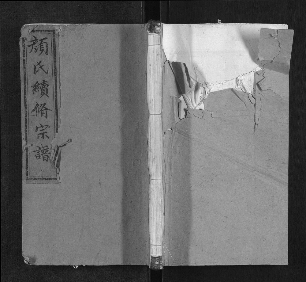 图片[1]-颜氏宗谱（文藻堂）电子版PDF下载-中华家谱网