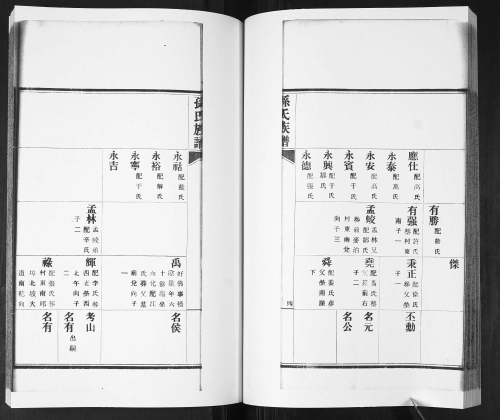 图片[8]-山东青岛即墨东塔子夼孙氏族谱（继述堂）电子版PDF下载-中华家谱网