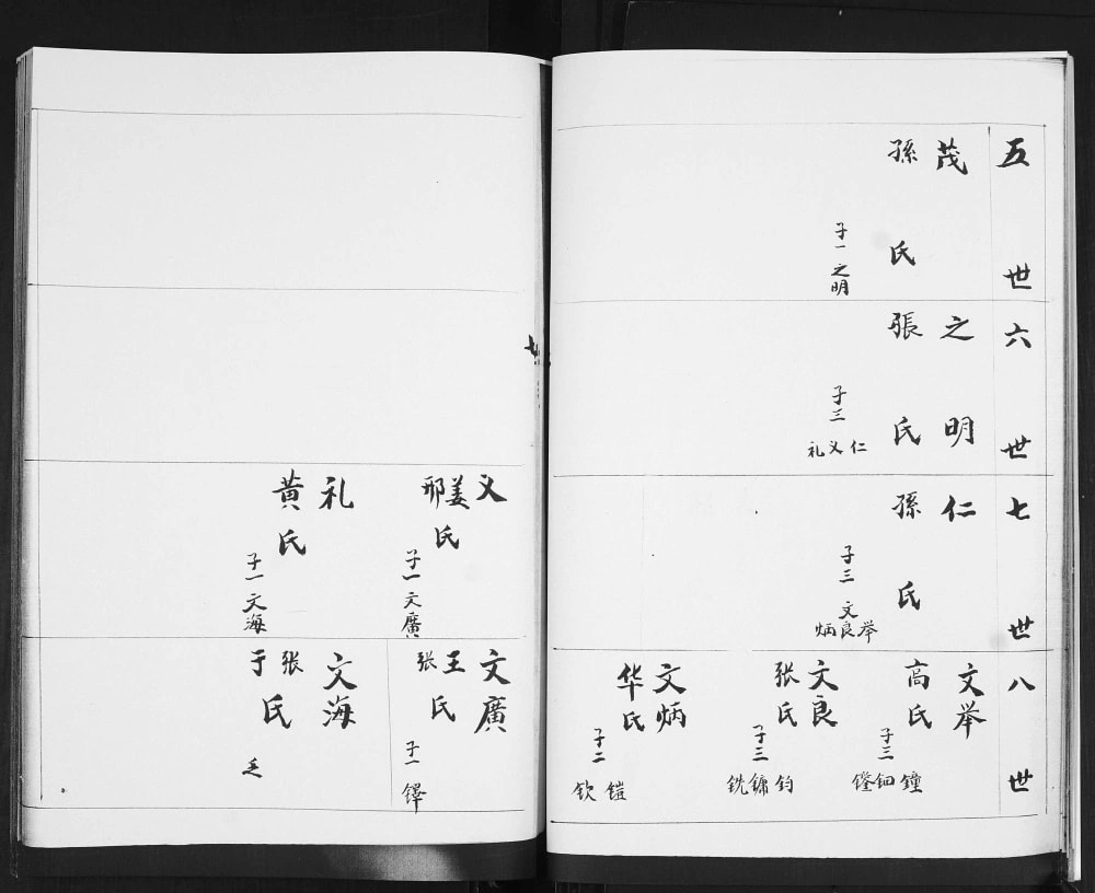 图片[7]-山东青岛即墨大桥村胡氏支谱电子版PDF下载-中华家谱网