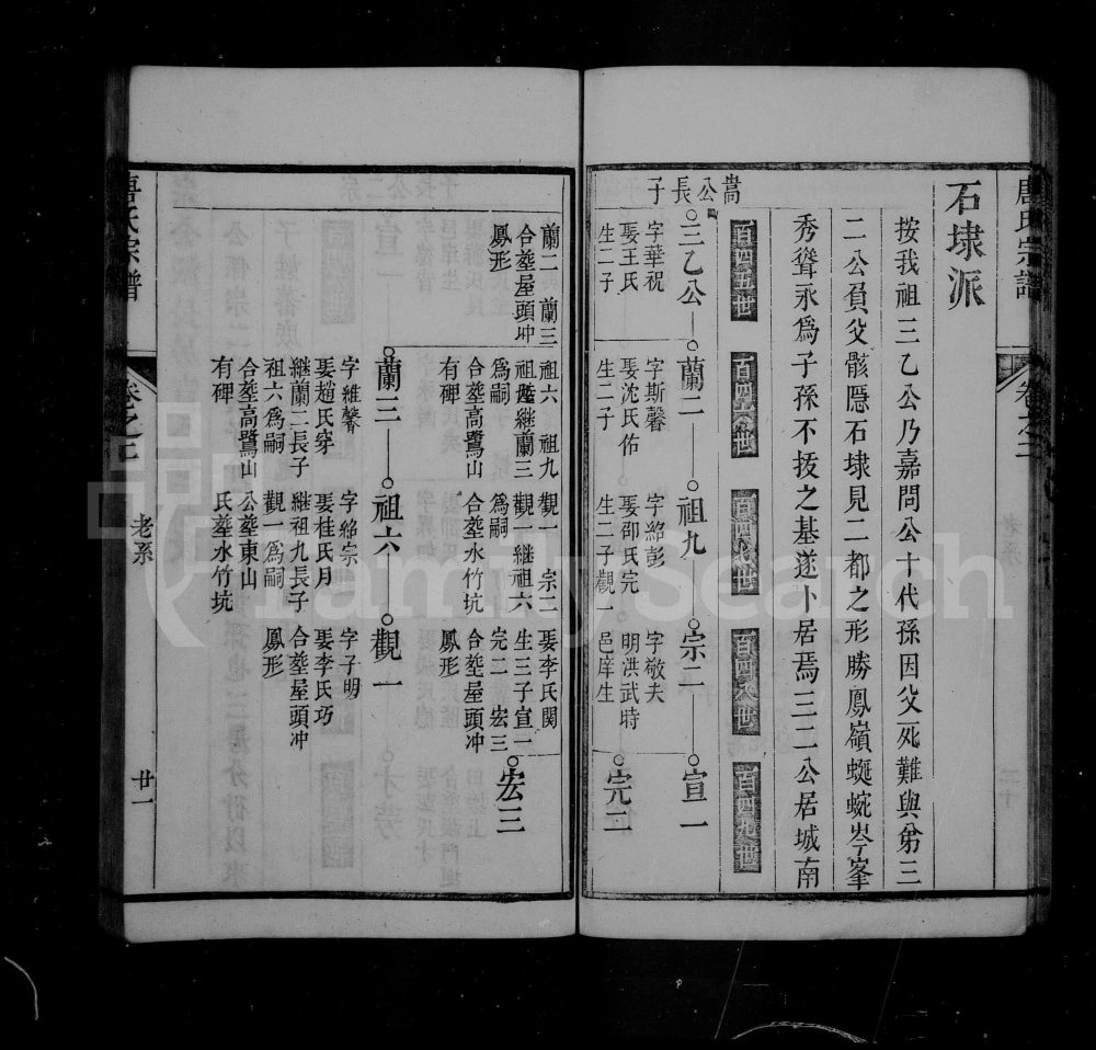 图片[4]-安徽池州石台县唐氏宗谱电子版PDF下载-中华家谱网