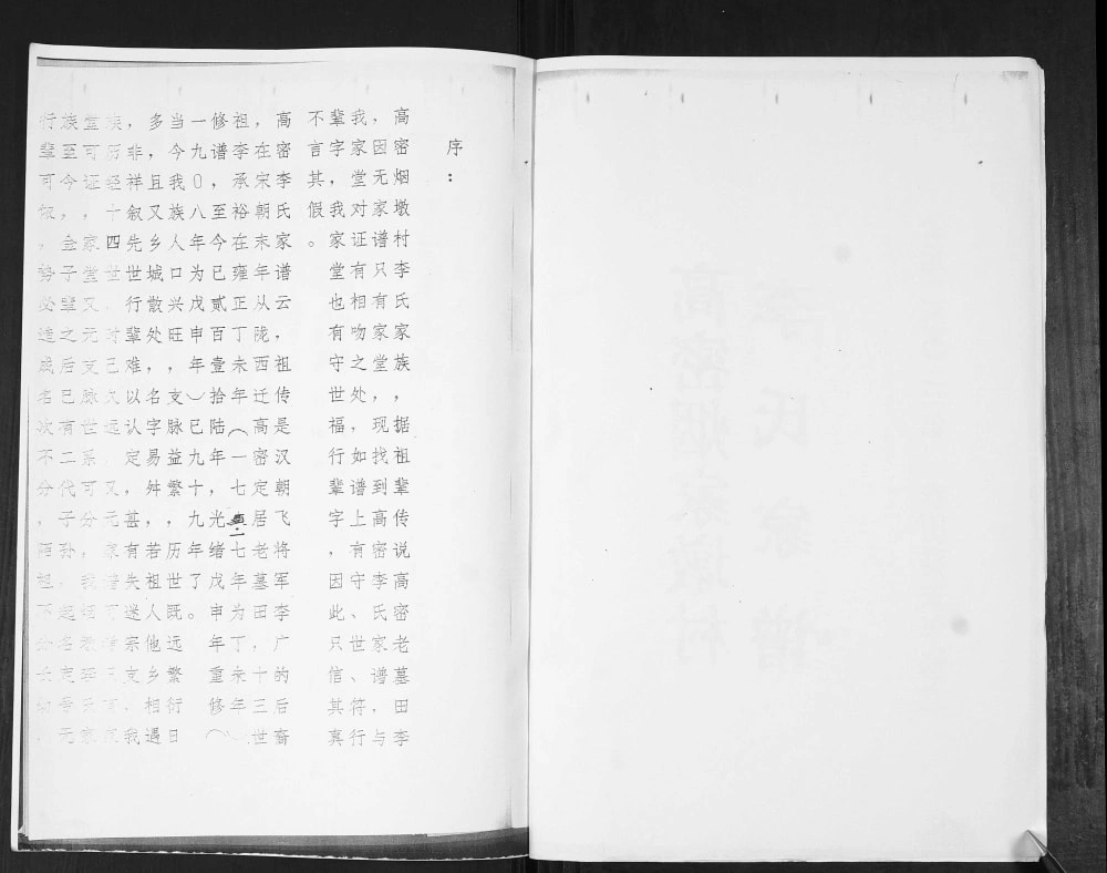 图片[3]-山东高密李氏族谱张家下庄支派电子版PDF下载-中华家谱网