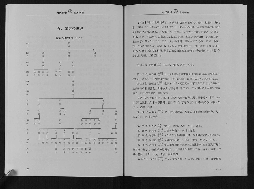 图片[6]-重庆合川区燕窝镇兴隆乡赵氏家谱电子版PDF下载-中华家谱网