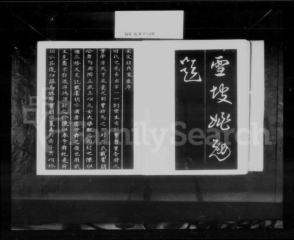 图片[2]-江西宜春奉新县胡氏家牒电子版PDF下载-中华家谱网