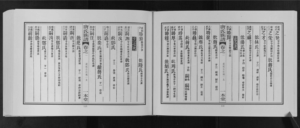 图片[8]-广西桂林灌阳县东鲁郡昭仪唐氏宗谱（一本堂）电子版PDF下载-中华家谱网