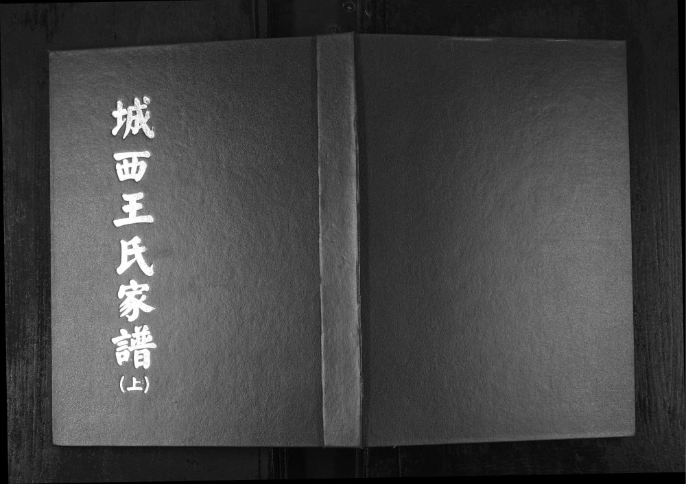 图片[1]-山东烟台福山区城西王氏家谱电子版PDF下载-中华家谱网
