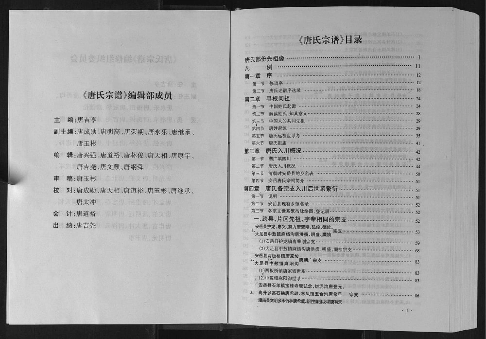 图片[3]-‌四川资阳安岳唐氏宗谱电子版PDF下载-中华家谱网