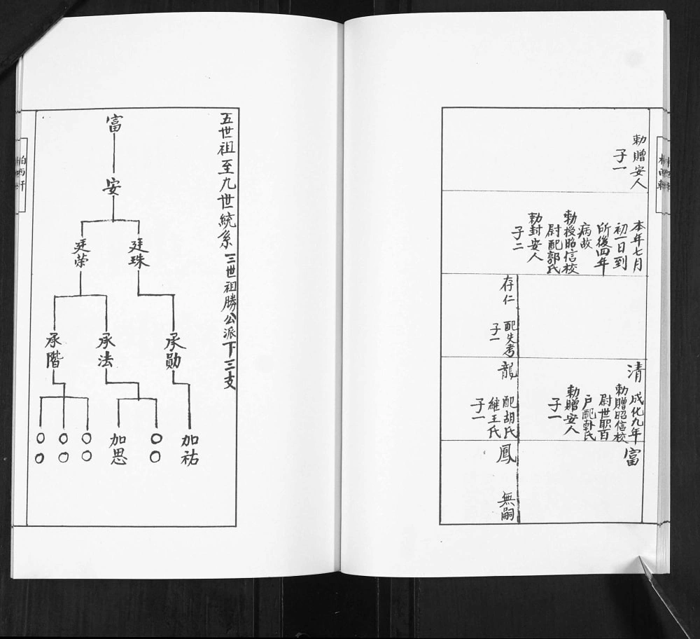 图片[7]-山东青岛即墨雄崖所谢氏世谱电子版PDF下载-中华家谱网