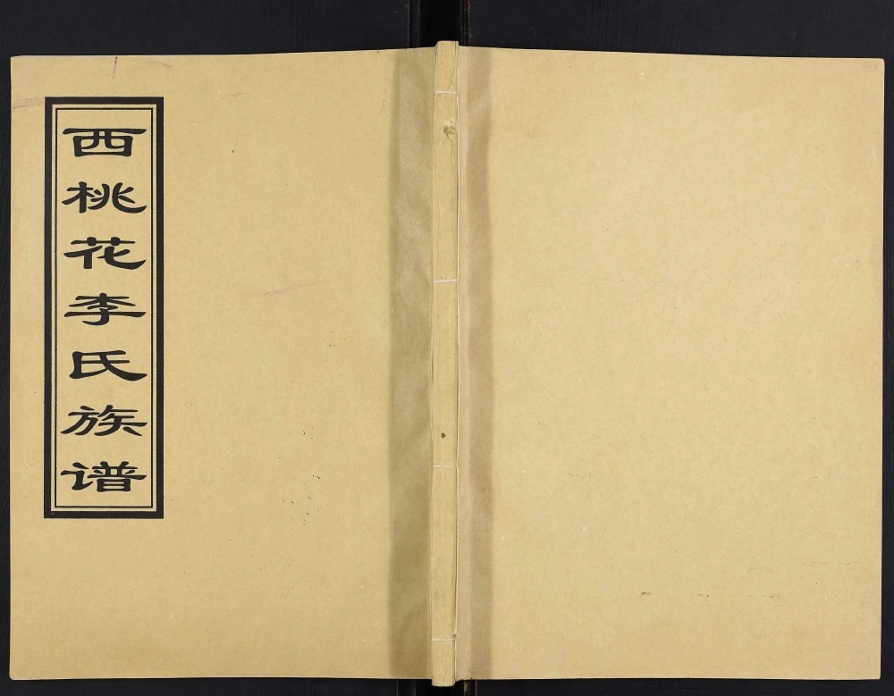 图片[1]-山东临沂沂水县西桃花李氏族谱电子版PDF下载-中华家谱网
