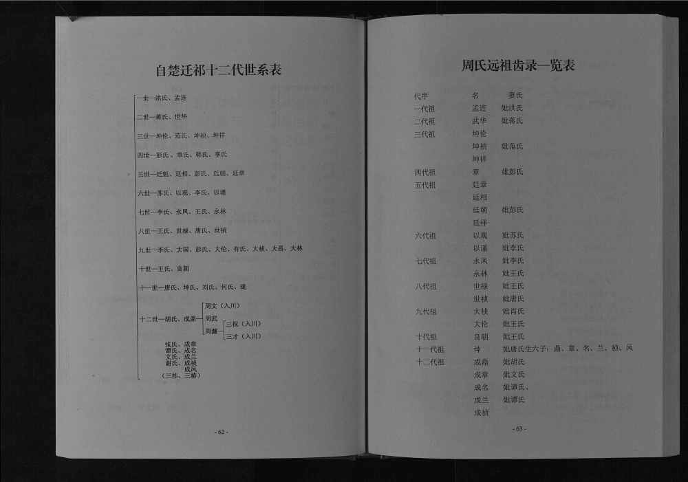 图片[4]-四川广安周氏宗谱武胜县水堤坝支系电子版PDF下载-中华家谱网