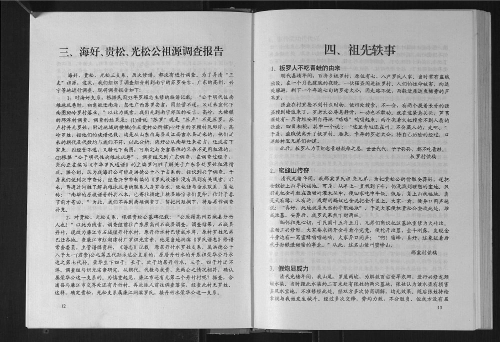 图片[5]-广西元广海好贵松光松公四支系罗氏族谱电子版PDF下载-中华家谱网