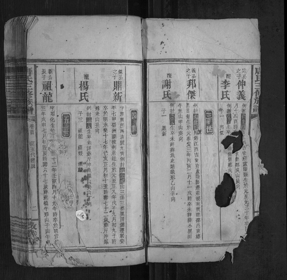 图片[4]-湖南邵东唐氏三修族谱（敦睦堂）电子版PDF下载-中华家谱网