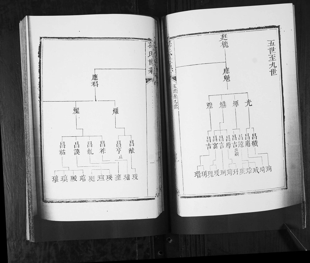 图片[5]-山东青岛城阳区孙氏族谱（永远堂）电子版PDF下载-中华家谱网