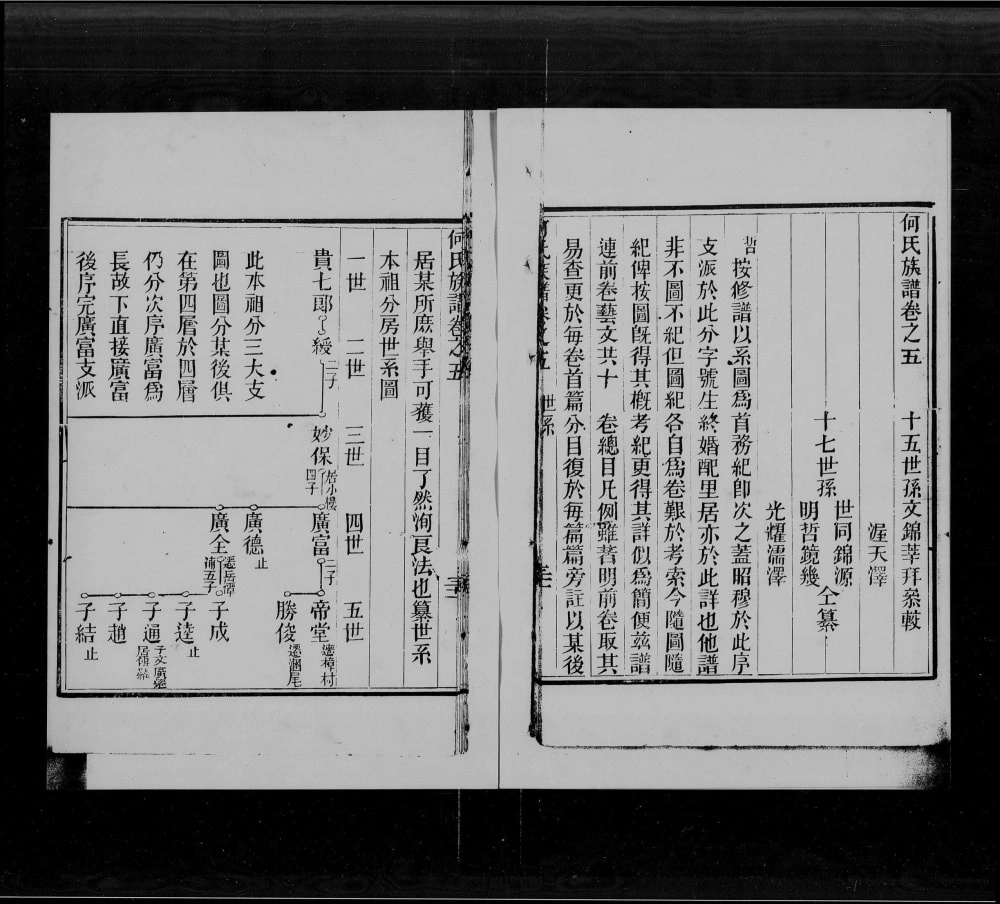 图片[4]-广东广州增城何氏族谱电子版PDF下载-中华家谱网