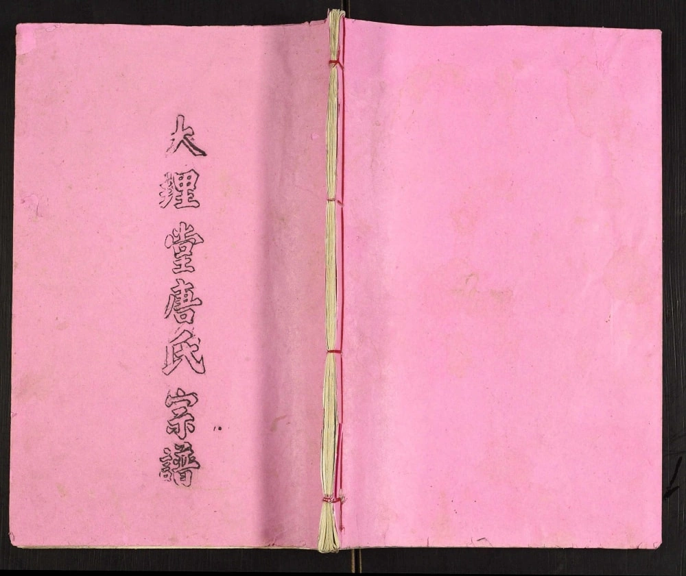 图片[1]-江苏高邮唐氏宗谱（大理堂）电子版PDF下载-中华家谱网