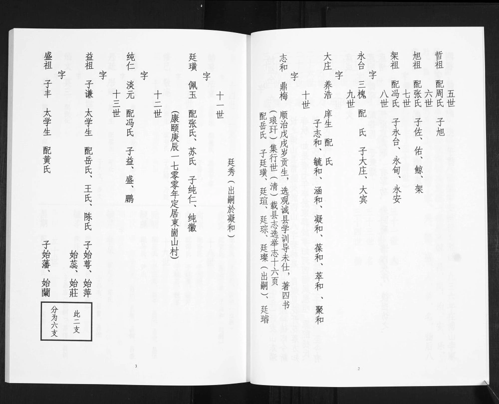 图片[6]-山东淄博李氏祖谱博山支谱东崮山纯仁祖支谱电子版PDF下载-中华家谱网