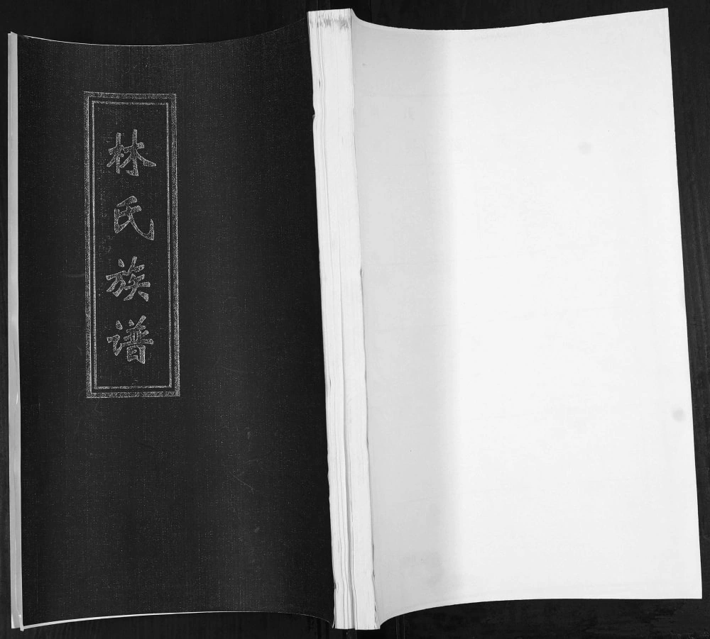 图片[1]-山东青岛即墨林氏族谱提纲宗派图电子版PDF下载-中华家谱网