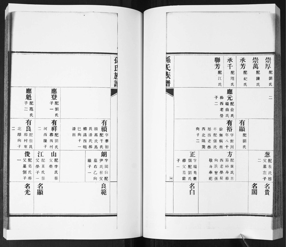 图片[7]-山东青岛即墨东塔子夼孙氏族谱（继述堂）电子版PDF下载-中华家谱网