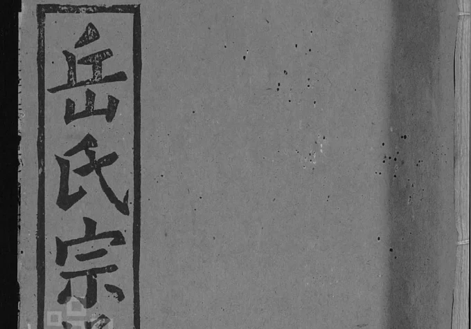 湖北武汉新洲区岳氏宗谱（忠武堂）电子版PDF下载-中华家谱网