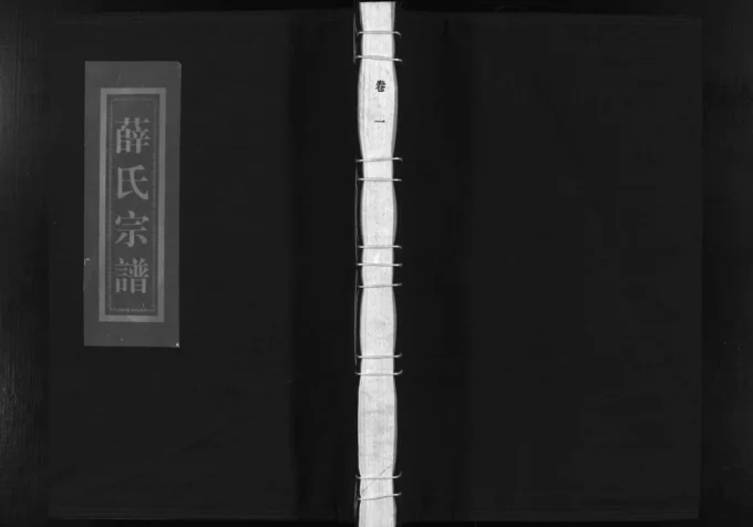 浙江乐清河东薛氏宗谱电子版PDF下载-中华家谱网
