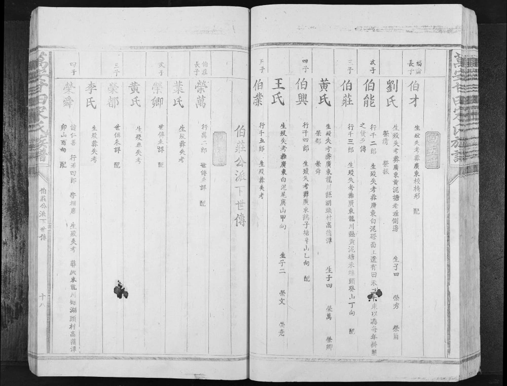 图片[4]-江西吉安万安甘田宋氏族谱（鼎新堂）电子版PDF下载-中华家谱网