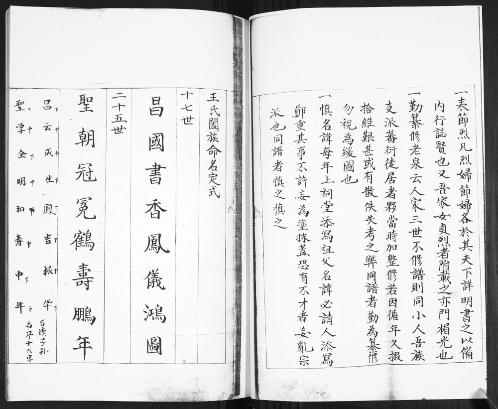 图片[4]-山东青岛即墨移风店东王氏族谱电子版PDF下载-中华家谱网