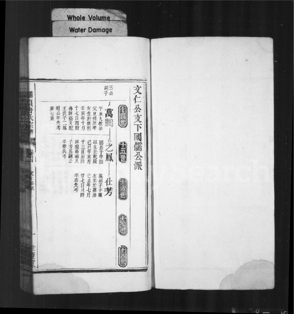 图片[8]-安徽无为濡须唐氏宗谱（世庆堂）电子版PDF下载-中华家谱网