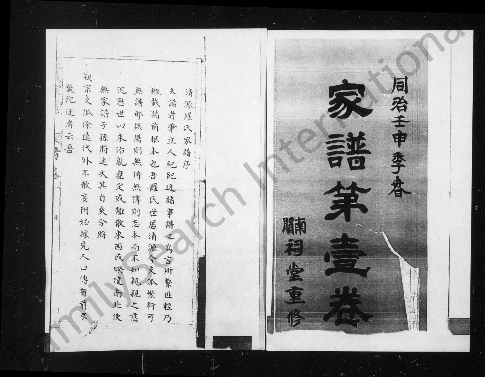 图片[1]-山西太原清徐县清源罗氏家谱电子版PDF下载-中华家谱网