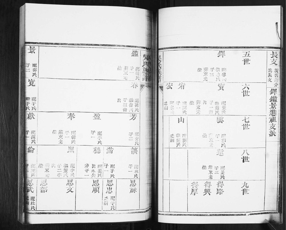 图片[8]-山东青岛即墨王村吴氏族谱（垂裕堂）电子版PDF下载-中华家谱网