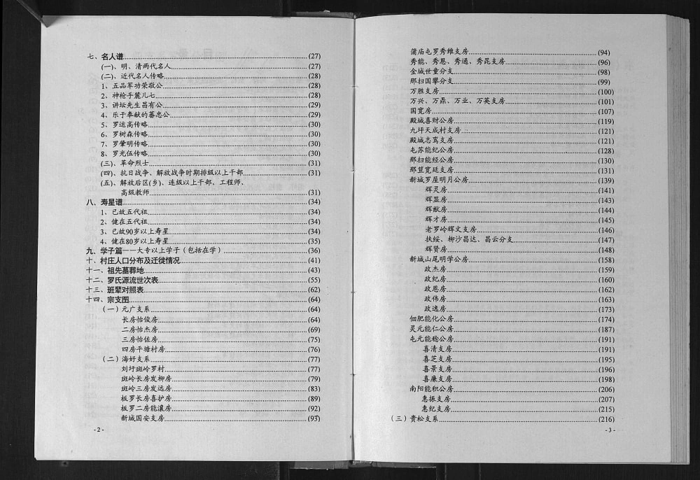图片[3]-广西元广海好贵松光松公四支系罗氏族谱电子版PDF下载-中华家谱网