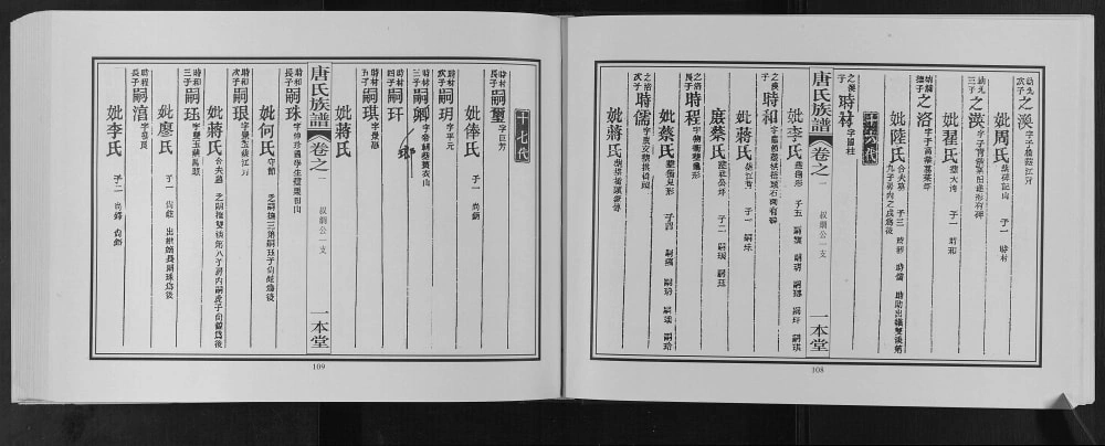 图片[5]-广西桂林灌阳县东鲁郡昭仪唐氏宗谱（一本堂）电子版PDF下载-中华家谱网