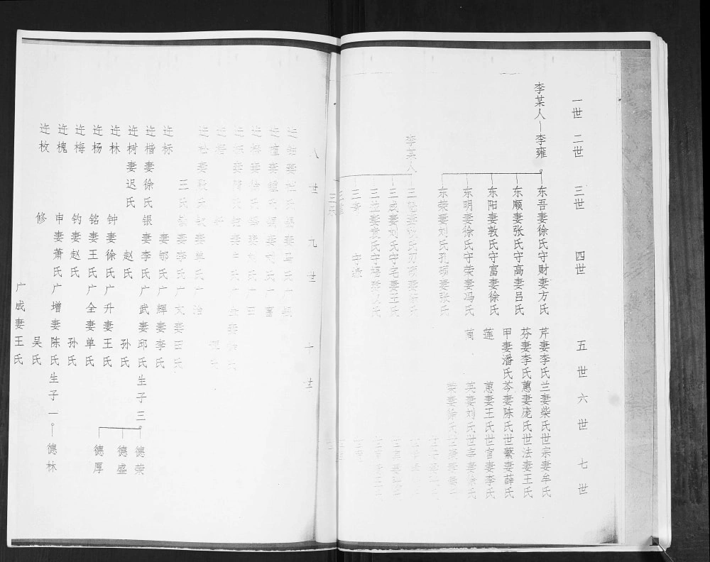 图片[5]-山东高密李氏族谱张家下庄支派电子版PDF下载-中华家谱网