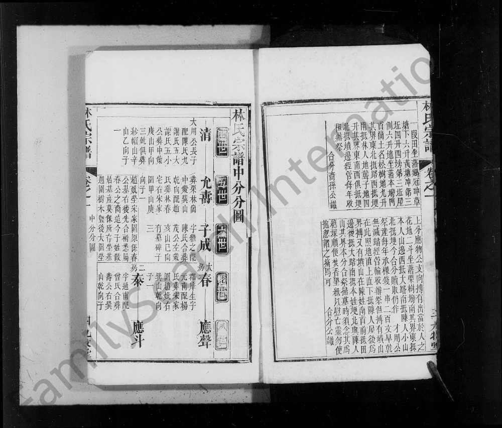 图片[4]-湖北麻城林氏宗谱（九牧堂）电子版PDF下载-中华家谱网