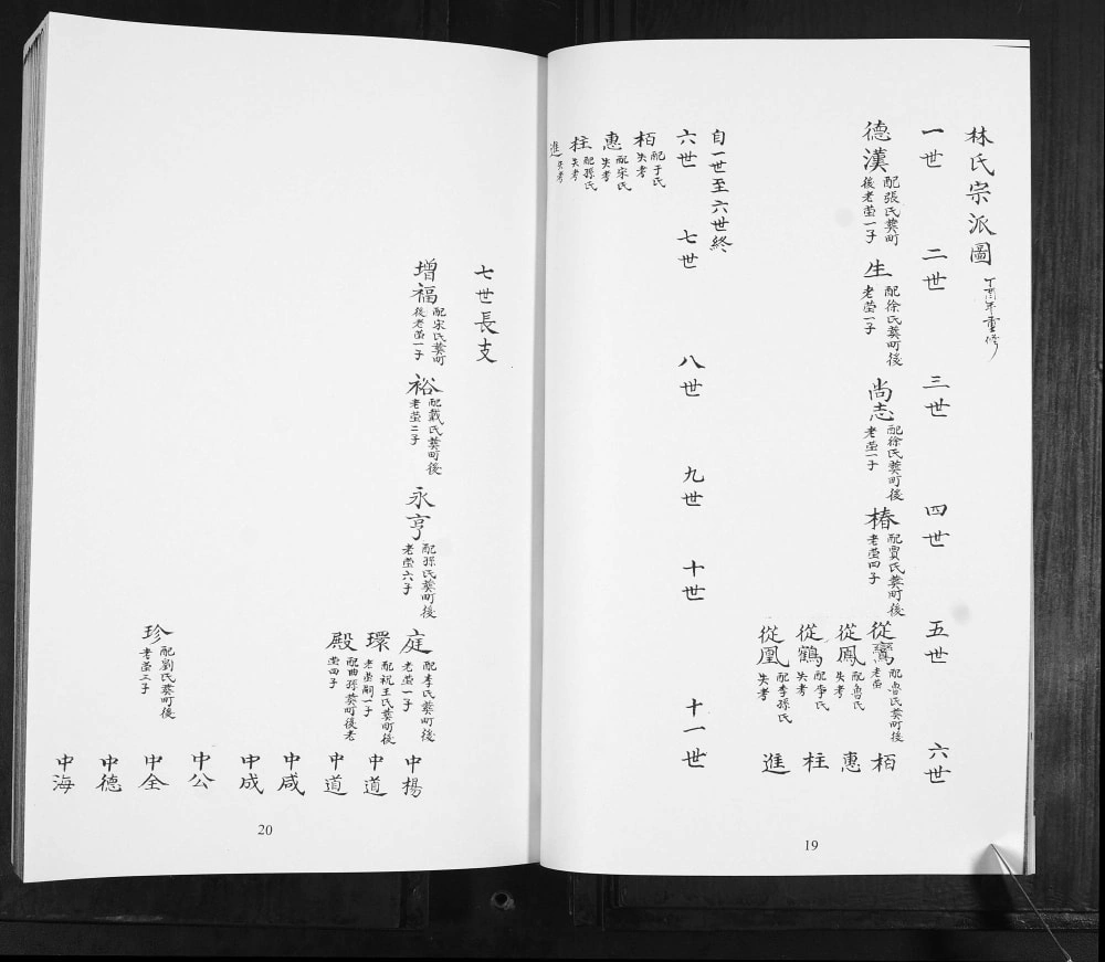 图片[4]-山东青岛即墨林氏族谱提纲宗派图电子版PDF下载-中华家谱网