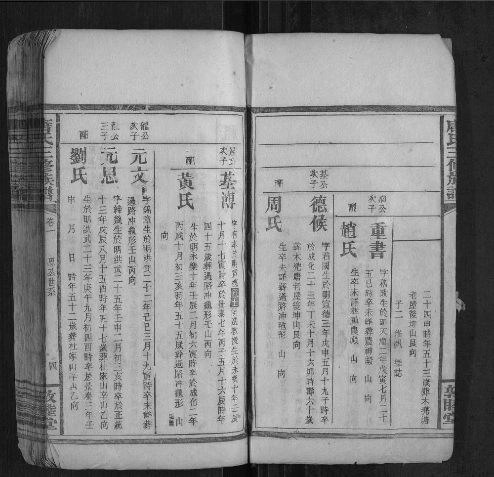图片[8]-湖南邵东唐氏三修族谱（敦睦堂）电子版PDF下载-中华家谱网