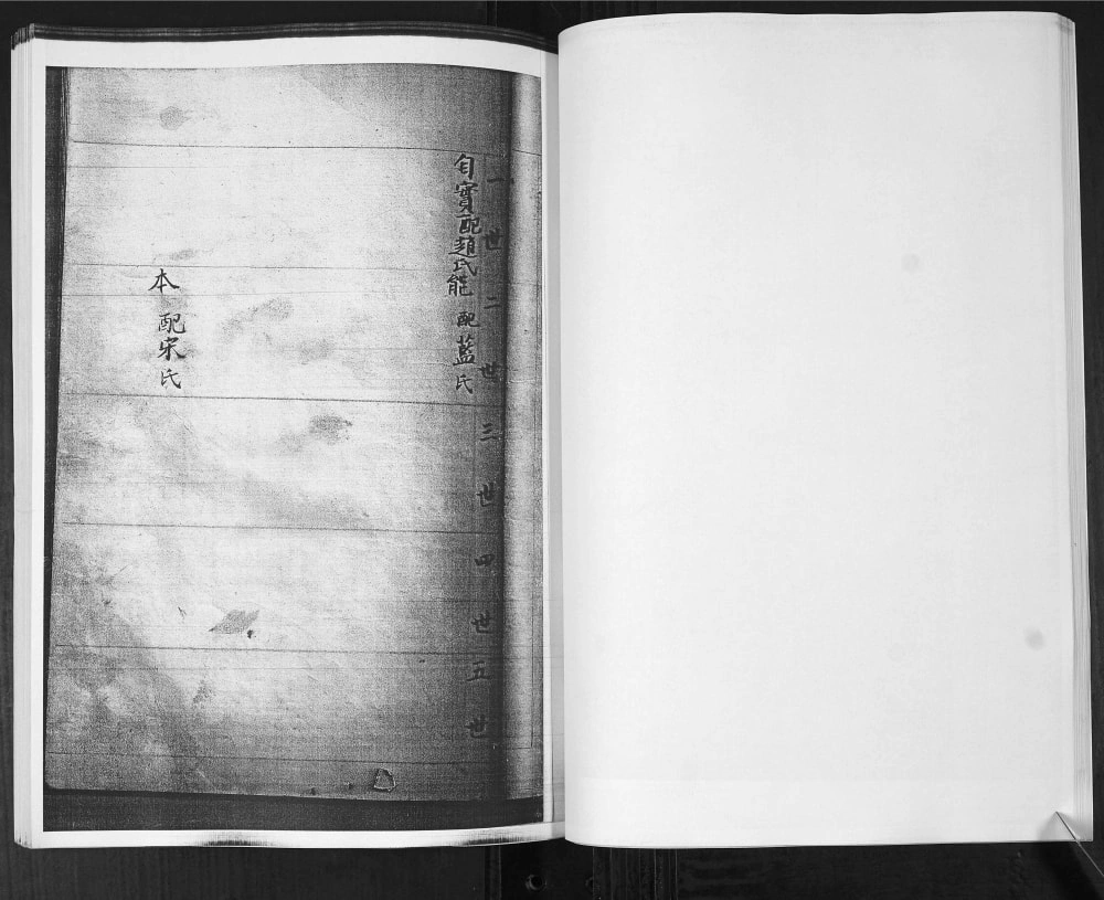 图片[4]-山东即墨龙湾头绿豆圈羊山后黄龙庄李氏族谱电子版PDF下载-中华家谱网