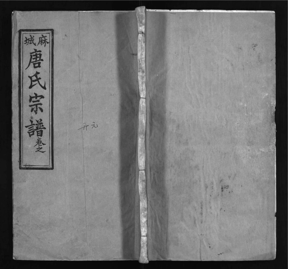 图片[1]-湖北麻城唐氏宗谱（亲睦堂）电子版PDF下载-中华家谱网