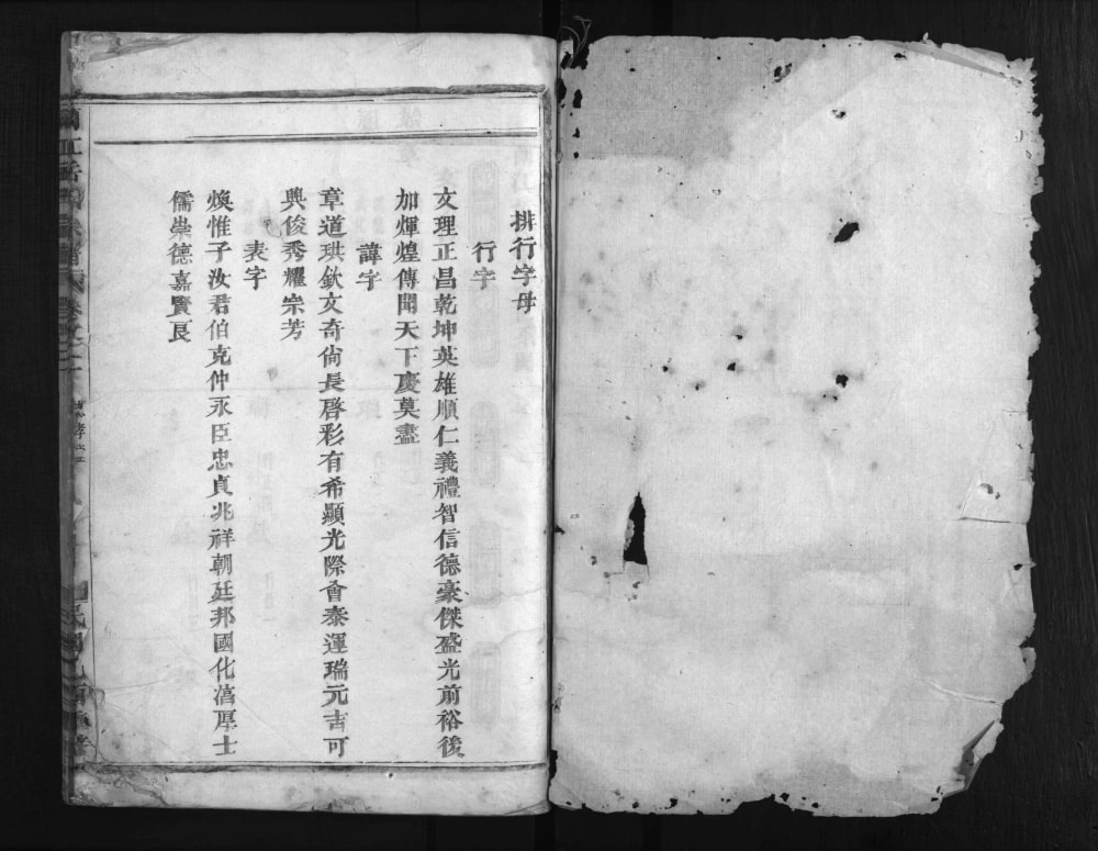 图片[4]-浙江金华兰溪兰江岳氏宗谱（忠孝堂）电子版PDF下载-中华家谱网